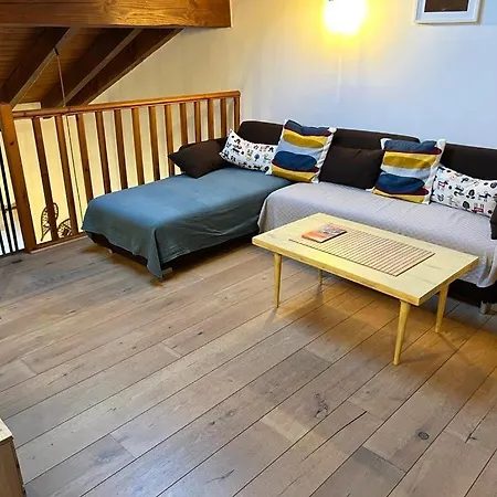 En El Centro De Apartment Llivia